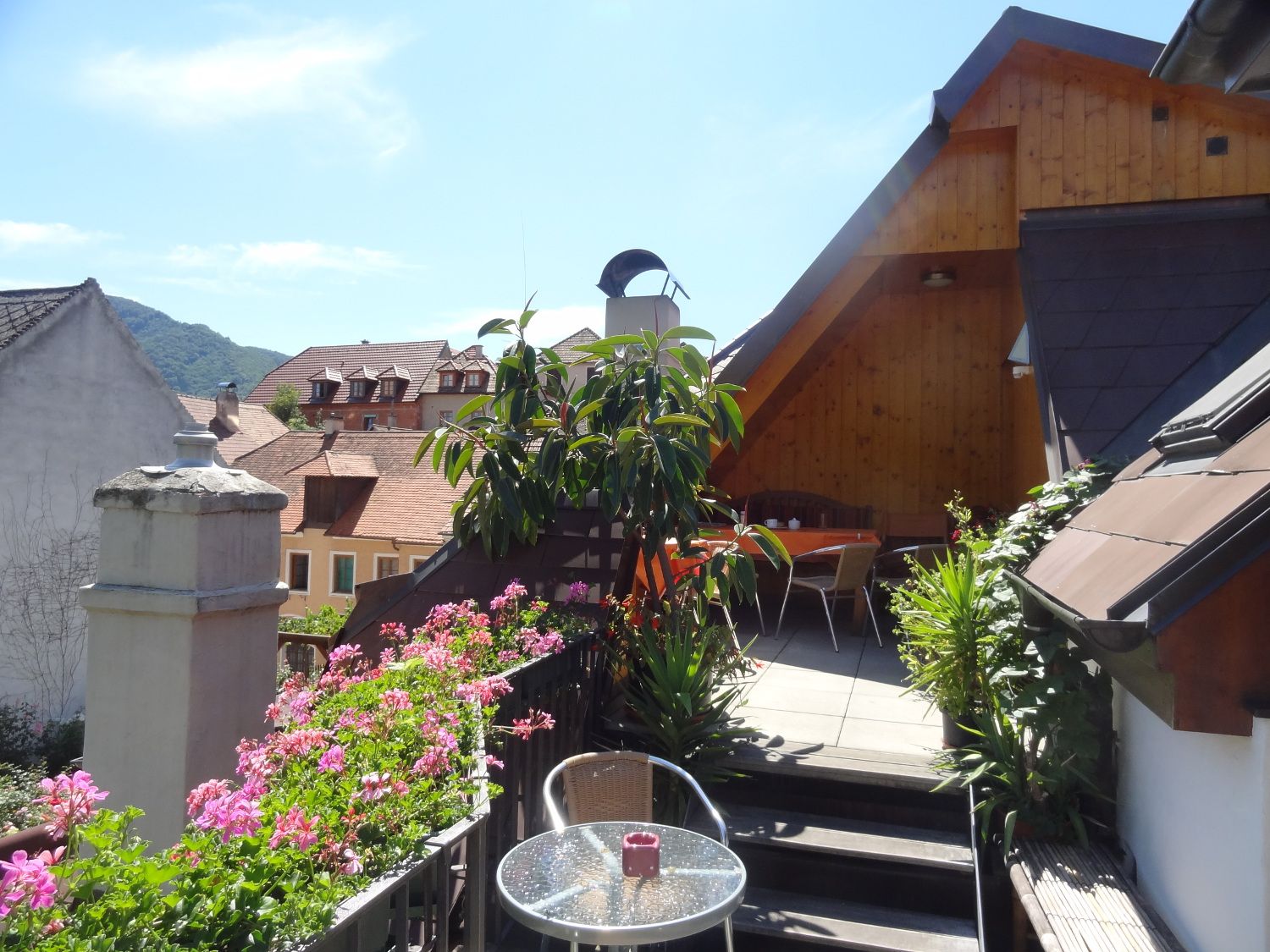 Roof terrace with plants and seating area, surrounded by rooftops and mountains.