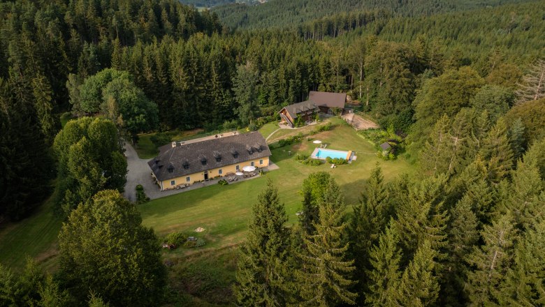 Aerial view of a forester's lodge in the middle of a dense forest with adjoining pool and meadow.