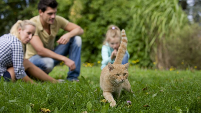 Animal encounters, © Karin Lohberger Photography