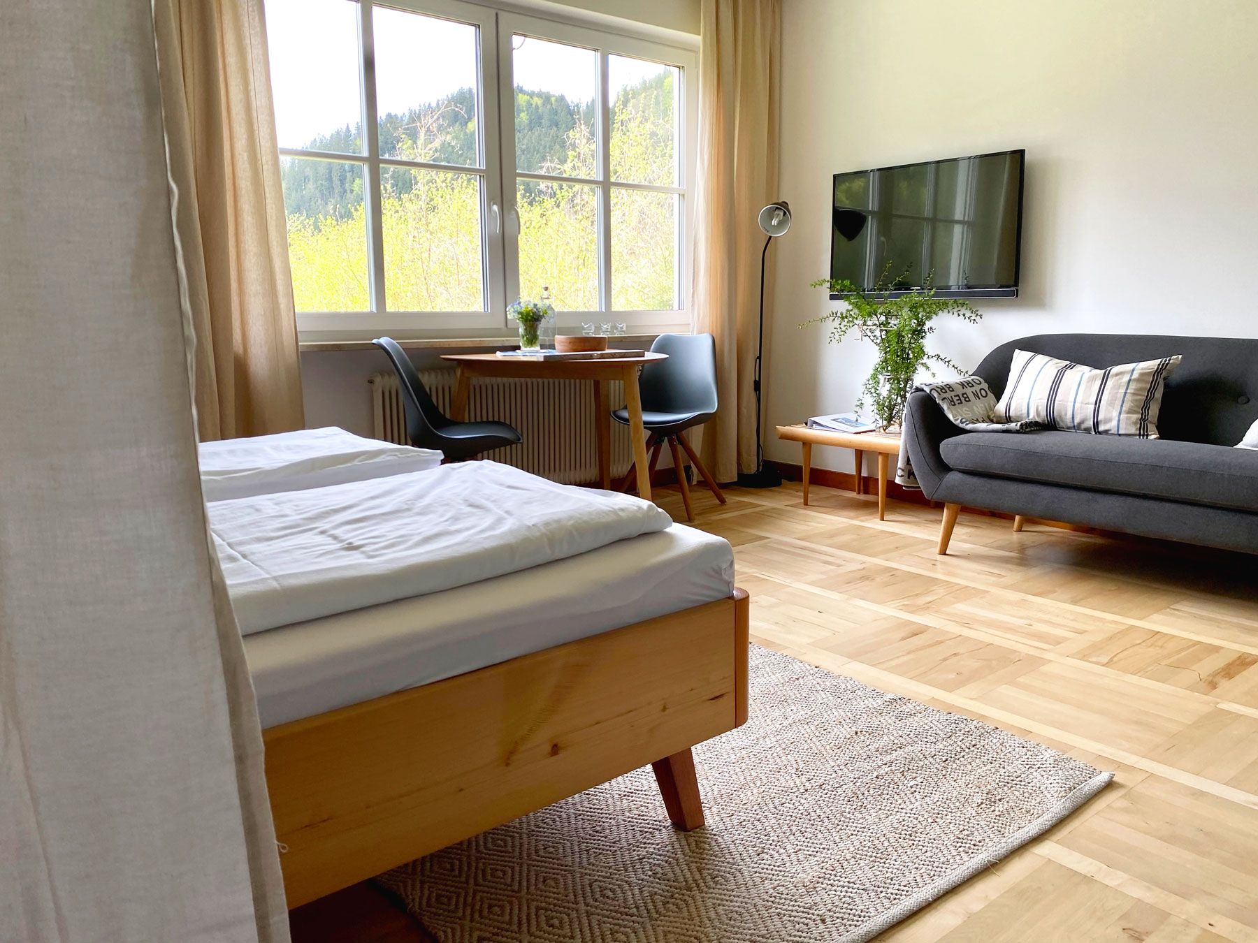 Apartment house Eisenstrasse - Sleeping/living area