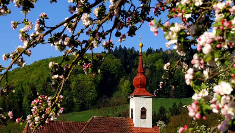 Church in St. Veit/G&ouml;lsen with flowering branches in the foreground.