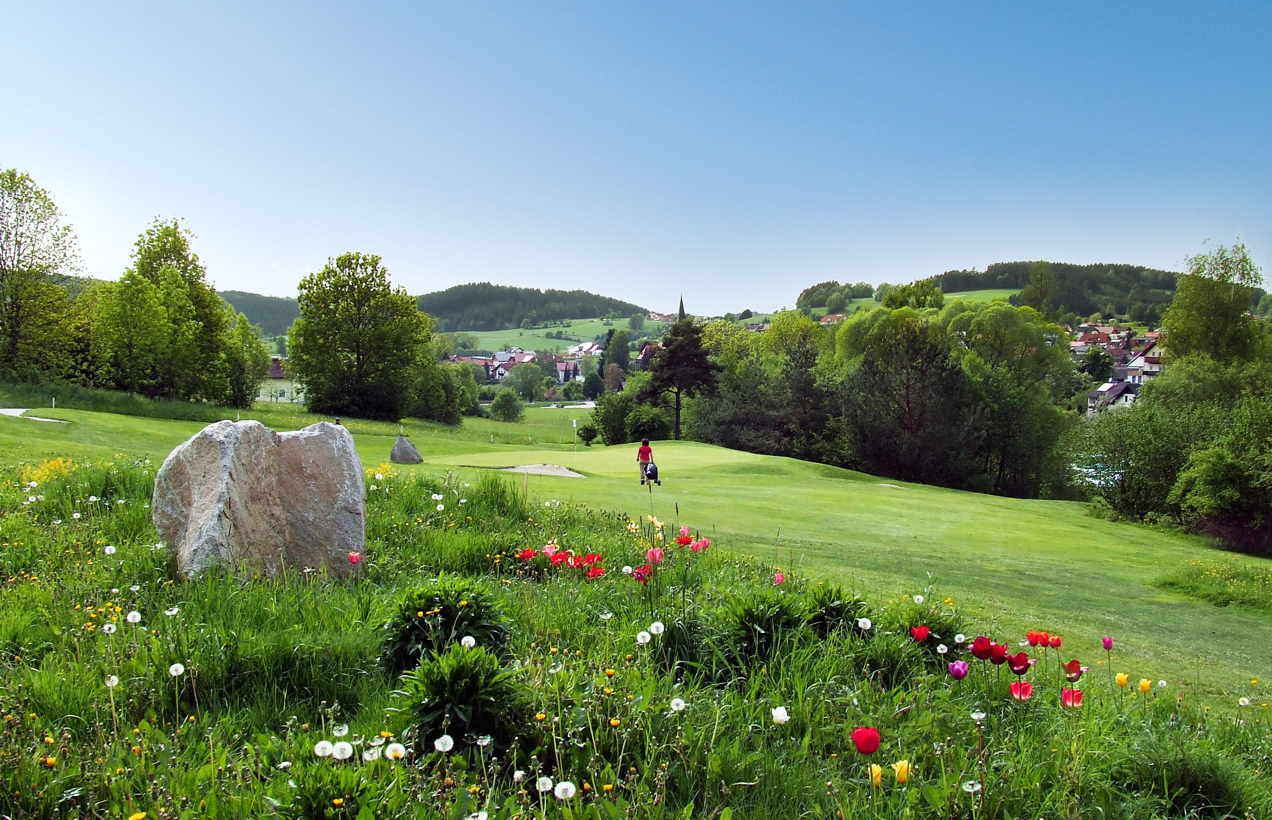 Landscape with flower meadow, trees and a village in the background.