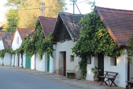 the longest wine cellar lane of the Weinviertel is 1.6km long and comprises of 400 press houses and cellars., © Weinviertel Tourismus/Krönigsberger