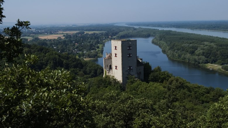 Greifenstein Castle with river and forest in the background.