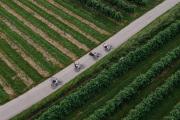 Flat cycle path with highlights, © Niederösterreich Werbung/Eliska Hudcová