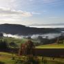 Landscape in the southern Waldviertel with hills, trees and fog.