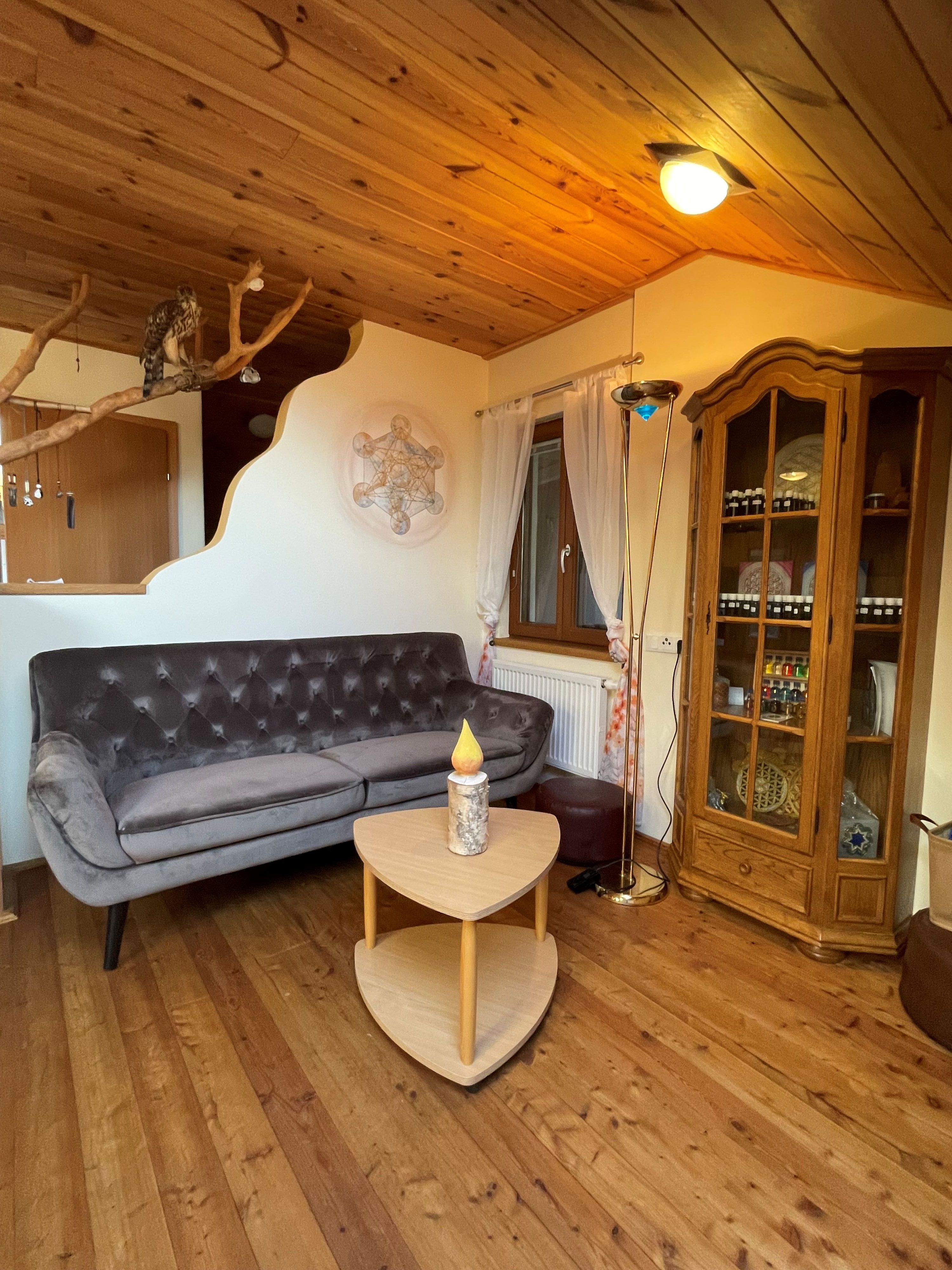 Cozy living room