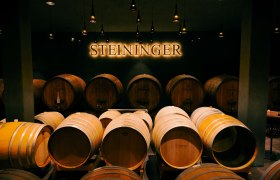 Wine cellar with wooden barrels and the lettering 'Steininger' on the wall.
