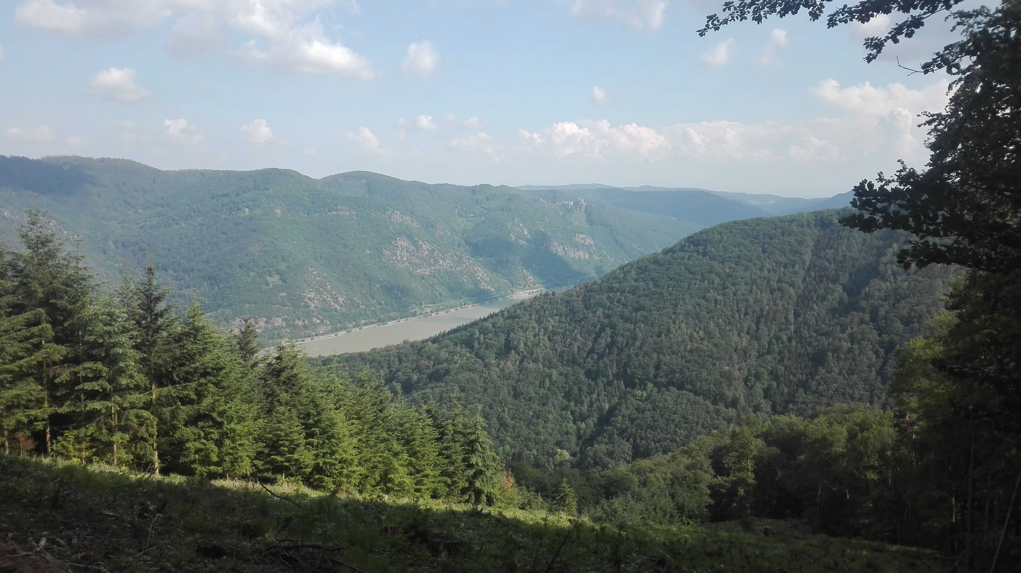 View of wooded hills and a river under a blue sky from the Jauerling.