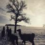 Winter in llama hiking country, &copy; lamawanderland
