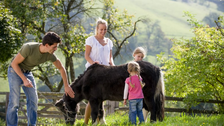 Farm holidays, © Karin Lohberger