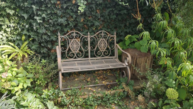 A decorative metal garden bench stands in front of an ivy-covered wall, surrounded by various plants.