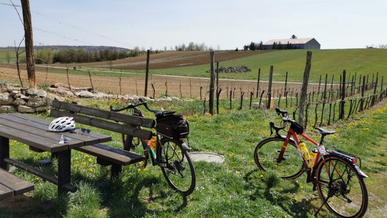 Radlerrast der Familie Pamperl, © Weinstraße Weinviertel