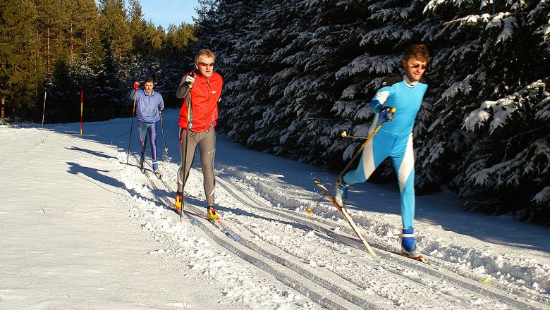At Einfalt B&B | Cross-country skiing in the Waldviertel, &copy; Familie Einfalt