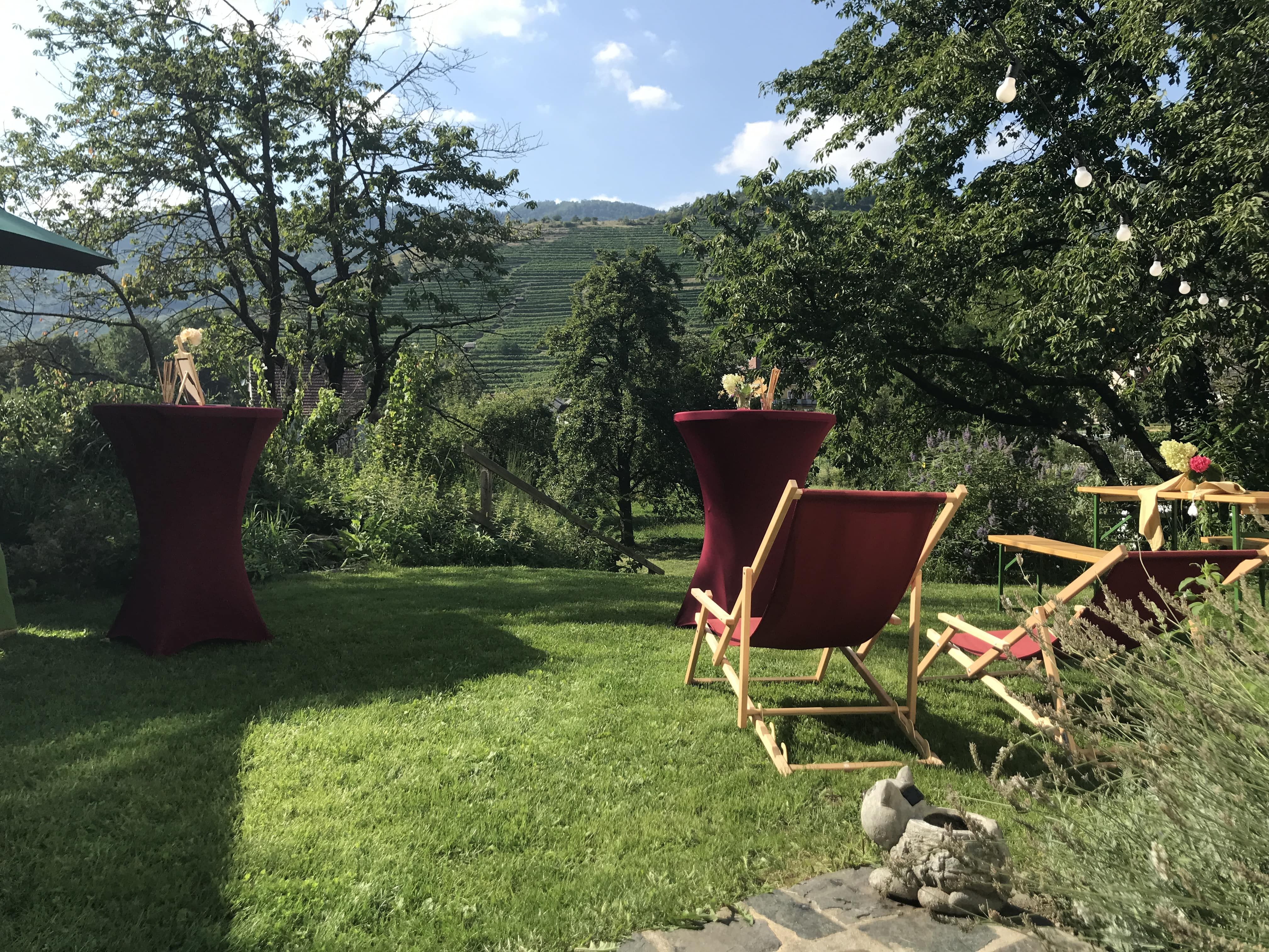Sun loungers and bar tables on a meadow with a view of the vineyards.