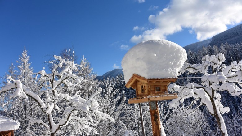 Bird house, © Doris Jagersberger