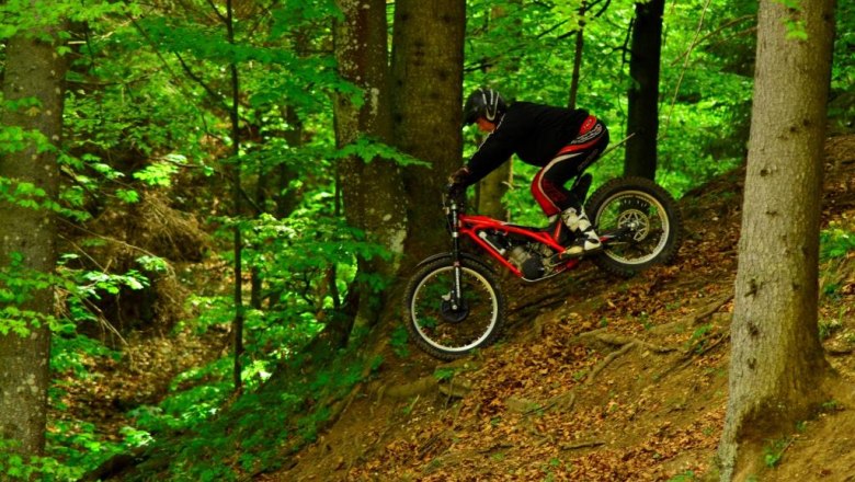 Schaureith boss Peter, &copy; Familie En&ouml;ckl