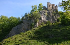 Ruin in the Sparbach Nature Park on a rock with green vegetation.
