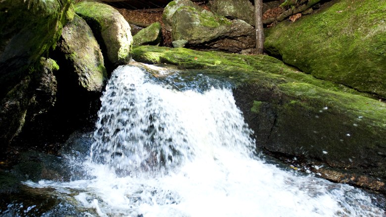 Ysperklamm, © Waldviertel Tourismus/ Robert Herbst