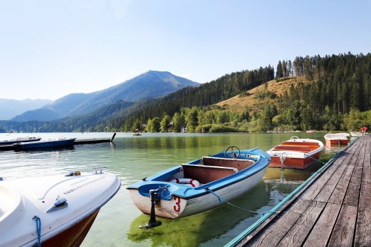Natural idyll at Lake Erlauf, © weinfranz.at