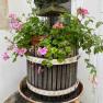 Old wine press decorated with blooming pink geraniums.