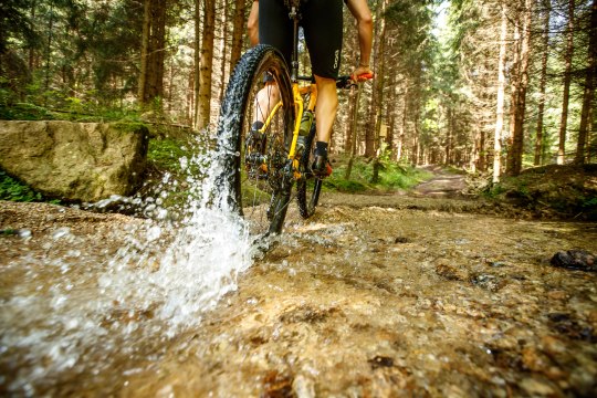 When it flows, cycle faster!, © Waldviertel Tourismus/Erwin Haiden