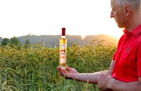 A man in a red shirt holds a bottle of spelt brandy in a cornfield at sunset.