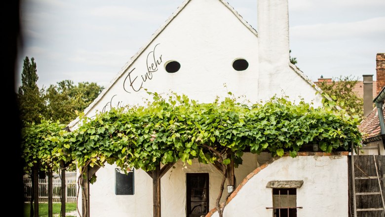 White house with vines and bicycle in front of it, in the Weinviertel.