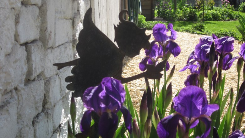 Metal figure of an angel next to purple iris flowers on a white wall.