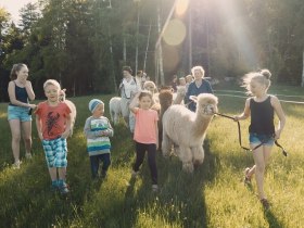 Alpakawanderung, &copy; Dr. Gergely, Manada de Sana