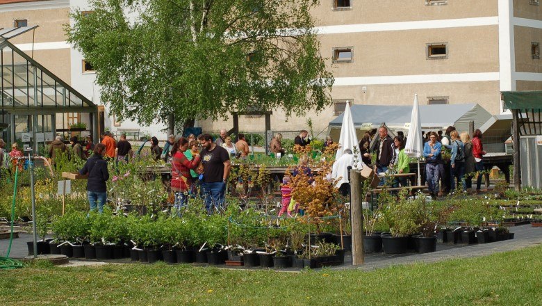 People at a plant market with many potted plants and a greenhouse in the background.