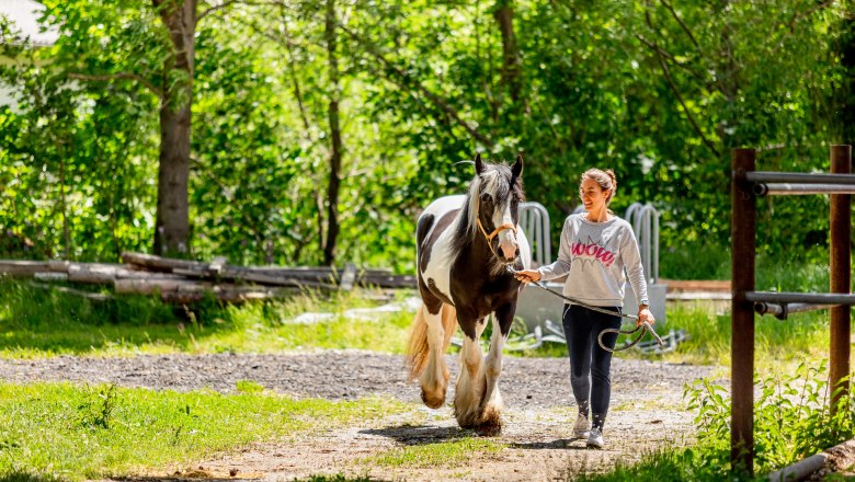 A woman leads a black and white horse by a halter along a sunny forest path.