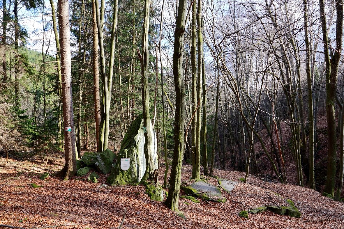 The protected Devil's Stone