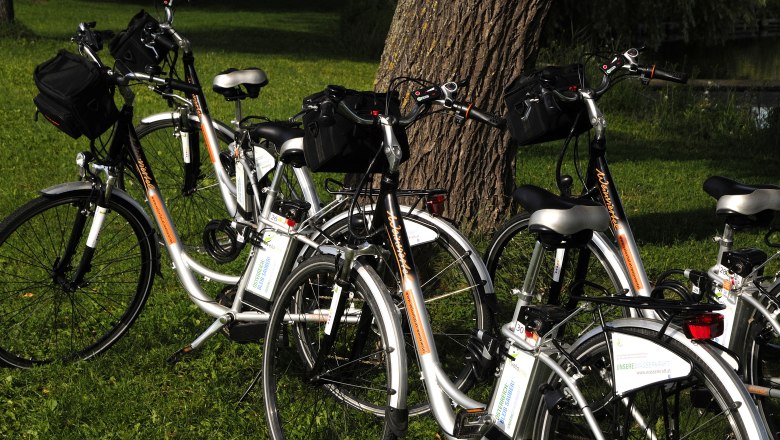 Several e-bikes are parked on a meadow in front of a tree.
