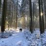 Winter hiking in the Weinsberg forest, © Dieter Juster