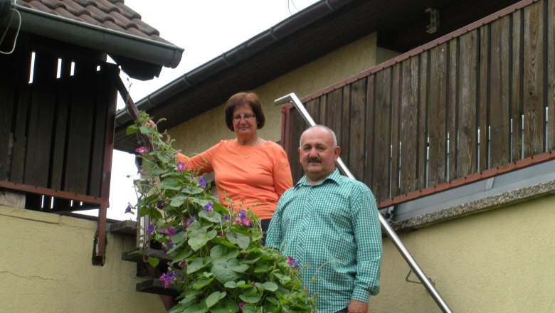 A man and a woman are standing on a staircase next to a flowering plant.