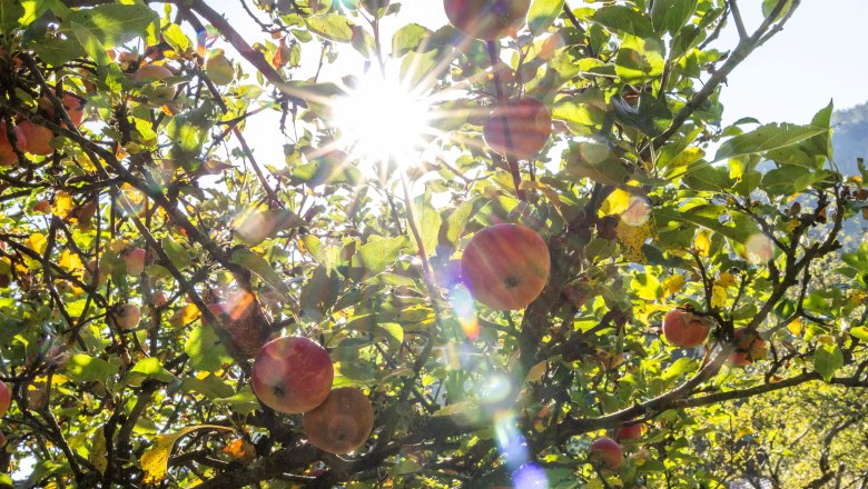 Organic farm Phyrabauer, &copy; Theo Kust