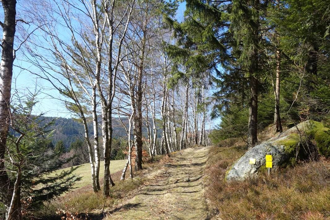 Herzsteinweg