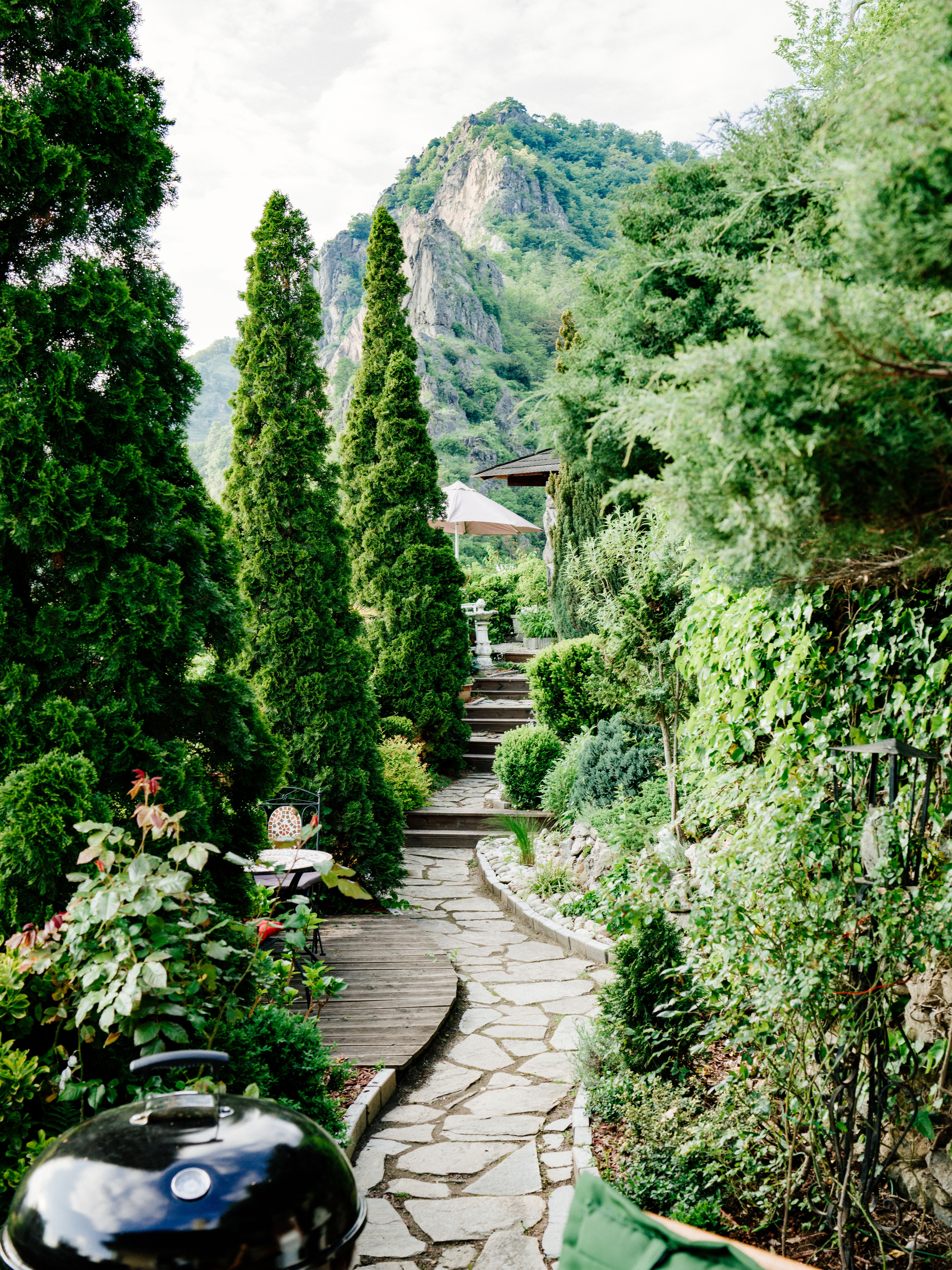 Garden path with plants and mountain in the background.