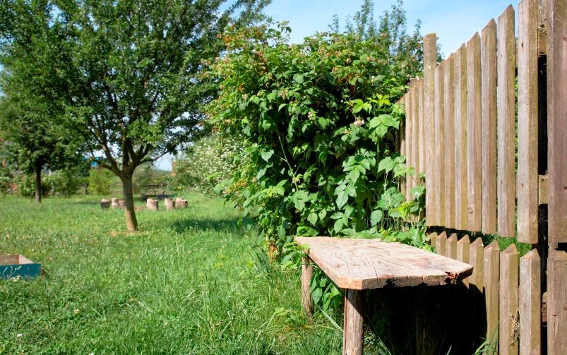 Wooden bench next to a wooden fence in a green garden with trees.
