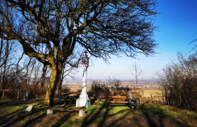 A man sits on a bench under a large tree with a view of a vast landscape.