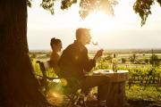 Enjoy a glass of wine in the vineyard., © Weinviertel Tourismus/Micheal Liebert