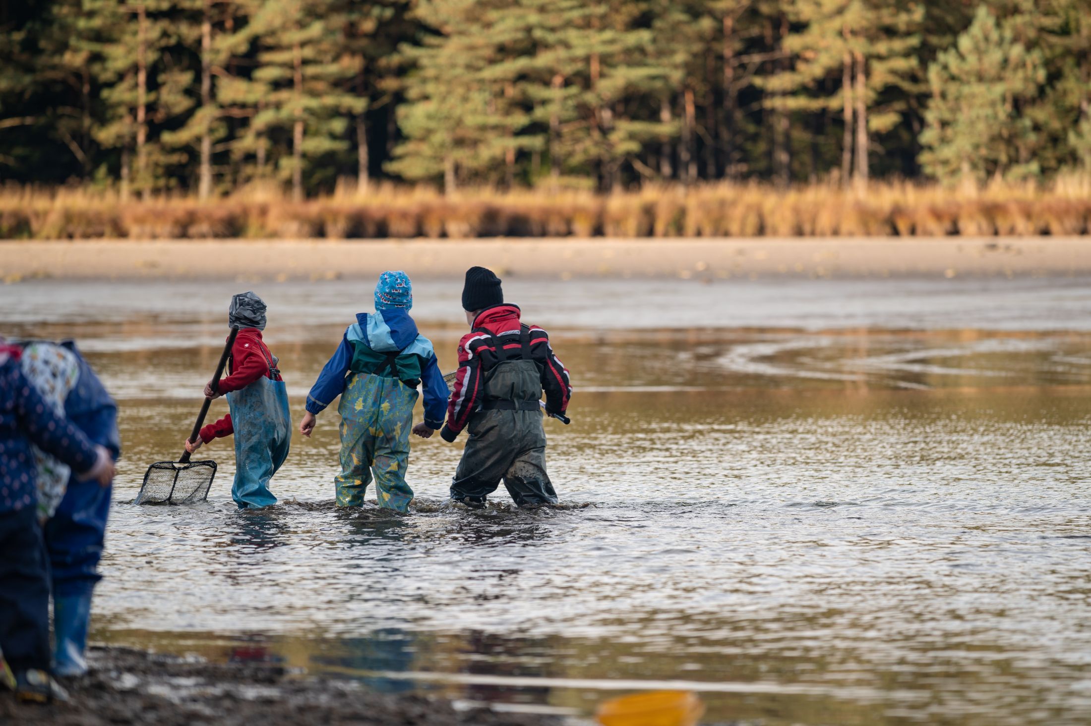 Children in wellies wade through shallow water near a pond.