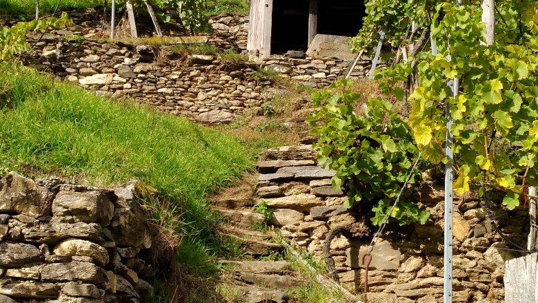 On the Spitzer Graben panoramic trail, &copy; Donau N&Ouml;: Heidi Schauer-Leberzipf