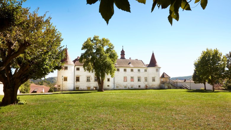 Dobersberg Castle with a green meadow in the foreground and trees in the background.