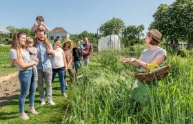 A group of people stand in a garden while a woman shows plants with a basket.