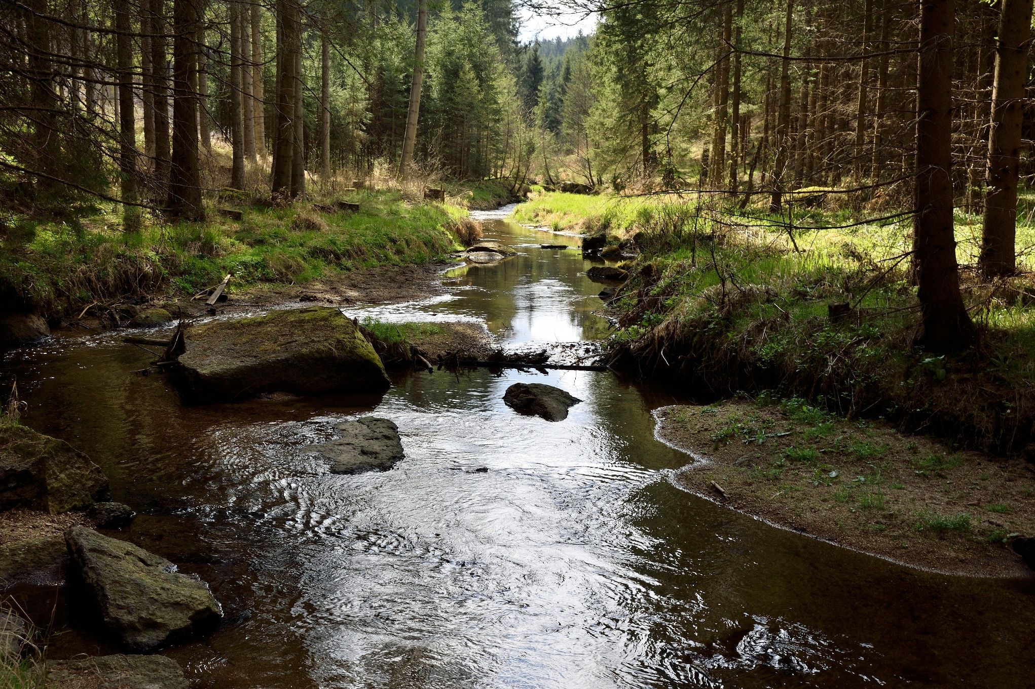 Zwettl river
