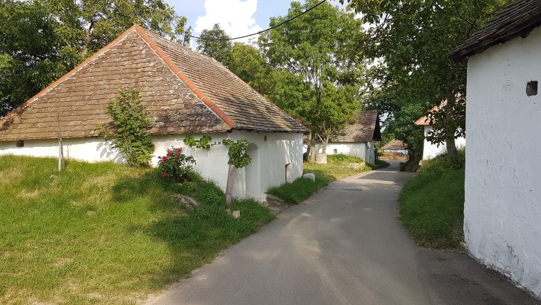 A picturesque wine cellar lane with traditional wine cellars and press houses in a rural setting.