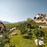 Vineyards and houses in a hilly landscape under a clear sky.