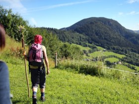Pilgerbegleiterin bei Annaberg, &copy; Mostviertel - Via Sacra